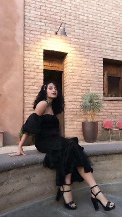 ESMERALDA mesh midi dress