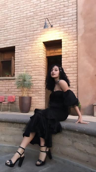 ESMERALDA mesh midi dress